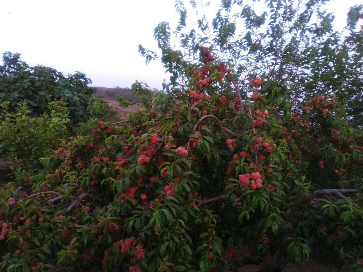 Casa De Los Abuelos วิลาฟลอร์ ภายนอก รูปภาพ