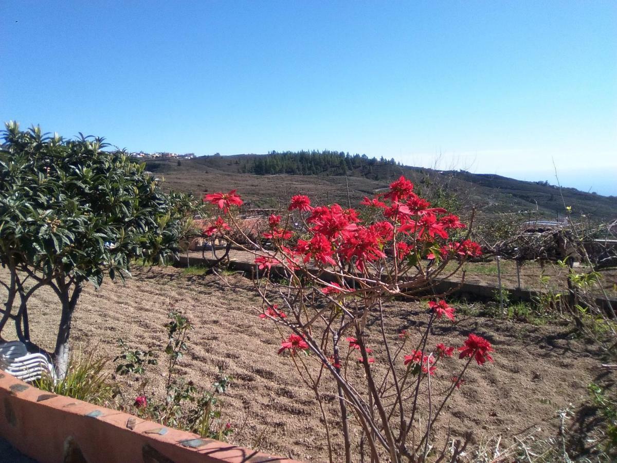 Casa De Los Abuelos วิลาฟลอร์ ภายนอก รูปภาพ